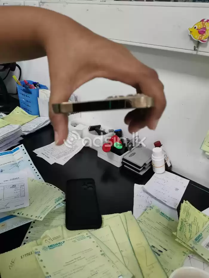 Apple iPhone 12 Pro Max