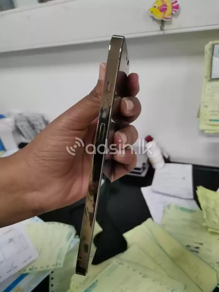 Apple iPhone 12 Pro Max