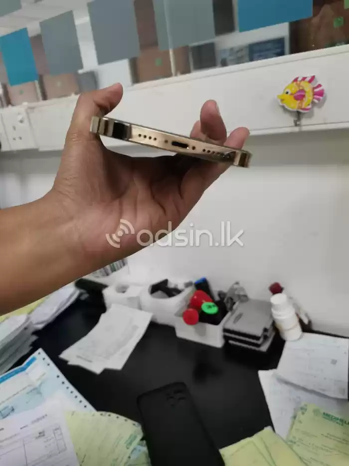 Apple iPhone 12 Pro Max