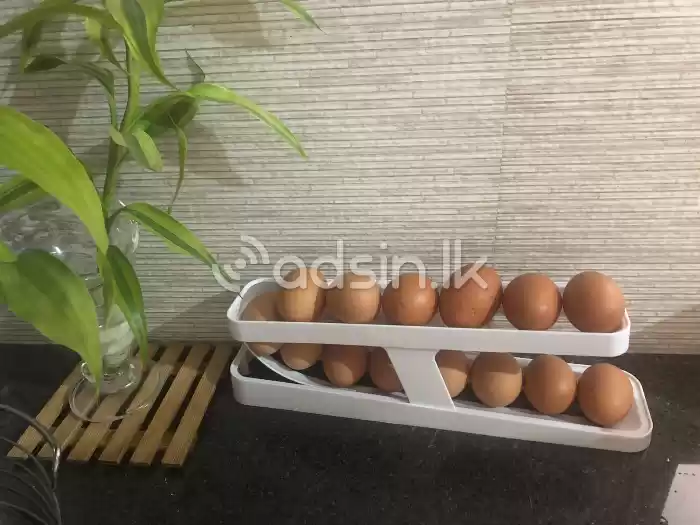 Egg storage box