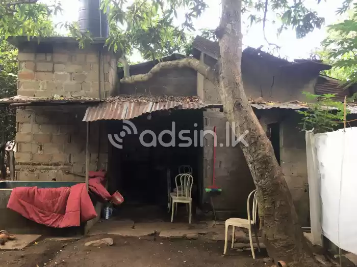 House with Land for Sale