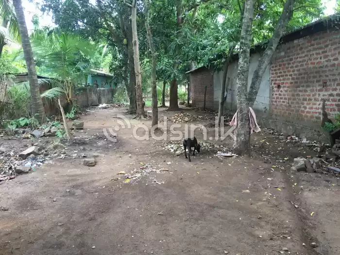 House with Land for Sale