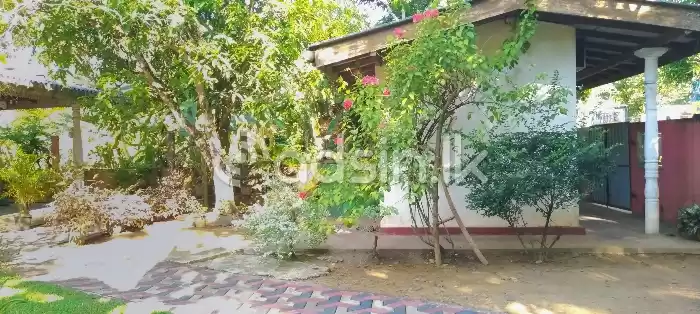 සියලු පහසුකම් සහිත නිවසක් විකිණීමට( Matara)