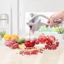 Hand Juice Maker Fruit Press