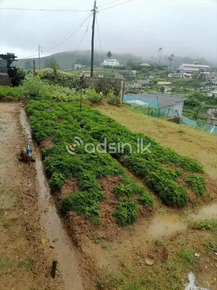 House for sale in Nuwaraeliya Shanthipura