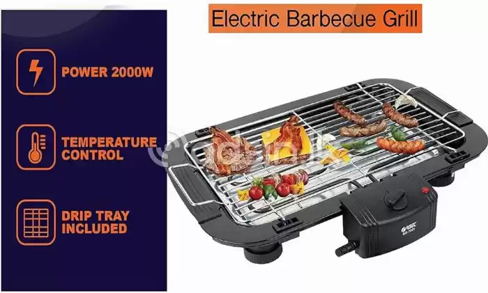 BBQ Electric Grill - DLD006